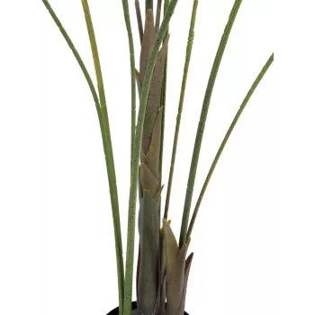 EUROPALMS Großblatt-Areca palmier Areca artificiel, 185 cm (82509442)