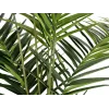 EUROPALMS Kentia Palm Artificial Plant 240cm 82511368