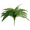 EUROPALMS Boston Fern Artificial Plant, 53cm, Green 82519934