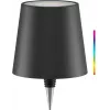 Wentronic Goobay Wireless LED Bottle Light, RGBW, Black (76571)