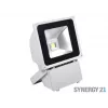 SYNERGY21 S21-LED-TOM01157 projecteur LED extérieur pour objets 80 W boîtier gris blanc froid V3