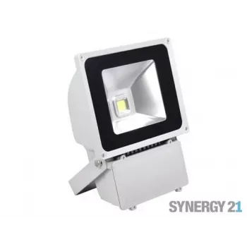 SYNERGY21 S21-LED-TOM01157 projecteur LED extérieur pour objets 80 W boîtier gris blanc froid V3