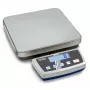 KERN DE 6K1D Balance de précision à plateforme, capacité 6 kg, lisibilité 1 g/2 g, alimentation sur batterie ou secteur