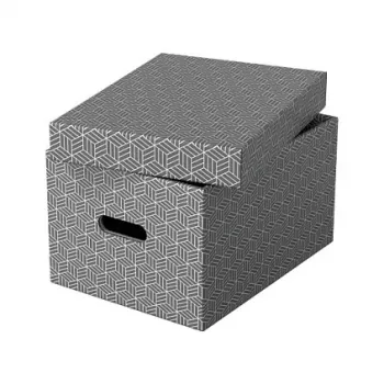 Boîte de rangement Esselte Home M, 17,5 L, 26,5 x 36,5 x 20,5 cm, lot de 3, blanc/gris (628283)