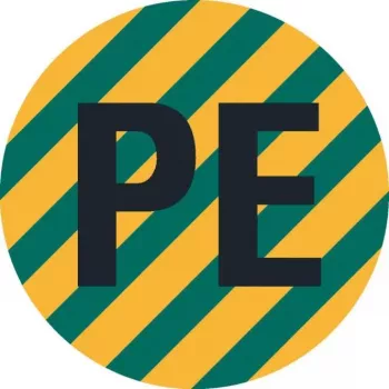 HEIN 172023 étiquette d'identification de conducteur PE, PET, autocollante, jaune/vert, 4 x 12 mm, 1000 étiquettes par rouleau