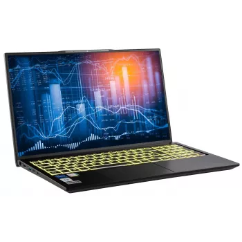 Ordinateur portable professionnel Captiva I10-1429GE 17,3 pouces - Intel Core i5-1335U, 32 Go de RAM, SSD 1 To, Windows 11 Home