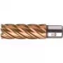 Foret à noyau HSSVarioPLUS BDS 18 mm, profondeur de coupe 55 mm, queue Weldon (KBL-VP018)