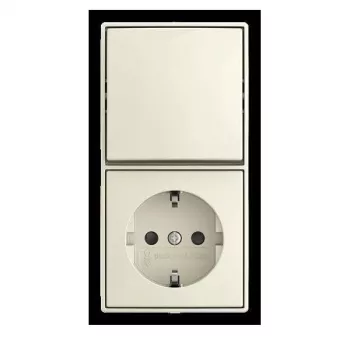 Insert de va-et-vient combiné Busch-Jaeger 2601/6/20 EAPBJ-522 (2TKA00005537)
