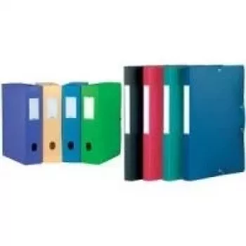 Boîte d'archivage ELBA Memphis DIN A4, capacité 40 mm, PP vert, étiquette de dos à écrire 98402914