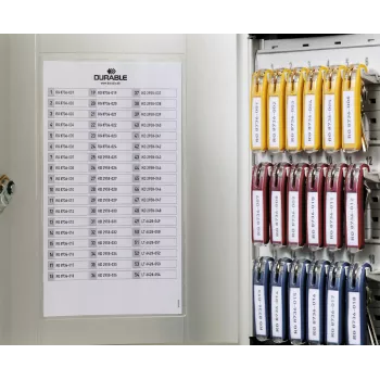 Armoire à clés DURABLE KEY BOX 54 avec serrure à cylindre, gris clair, acier, fixation murale 195323