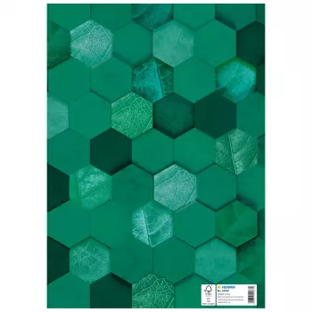 HERMA X Couverture de cahier, carton, DIN A4, vert foncé, 10 pièces 20087