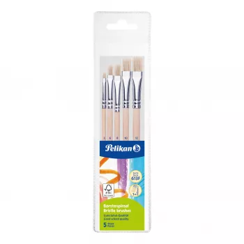 Ensemble de pinceaux Pelikan Starter, 5 pinceaux en soies avec manches en bois, tailles assorties, boîte transparente 300008263