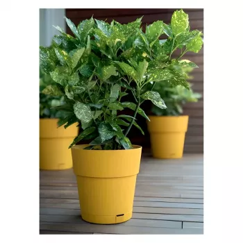 Pot de fleurs avec soucoupe Ethica STEFANPLAST Ø40x39 cm jaune moutarde
