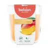 BOLSIUS True Scents Mango Scented Candle in Glass Jar, Ø97x85 mm