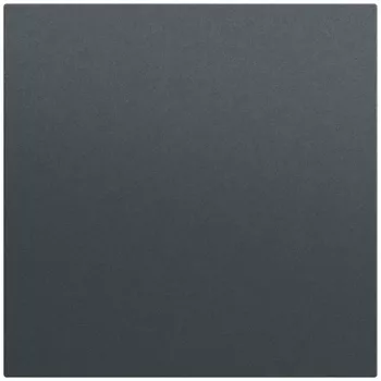 Gira cache aveugle avec anneau de support System 70 anthracite 26873