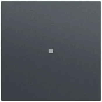 Gira System 70 bascule avec fenêtre de contrôle, anthracite (329073)