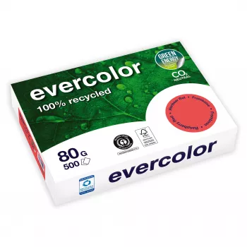 Clairefontaine EVERCOLOR 40259C papier multifonction A4 80 g/m² blanc 500 feuilles