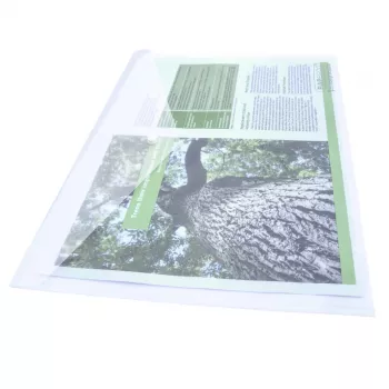 Pochettes documentaires Rapesco ECO GRS A3 transparentes (pack de 10) 1817