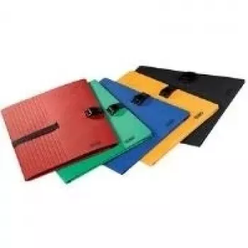 Chemise à documents ELBA CLIP'N GO DIN A4 carton assorti extensible fermeture textile - lot de 10 100201311