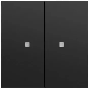 Bouton bascule GIRA 517374 2 gangs OneKNX System 70 noir (517374)