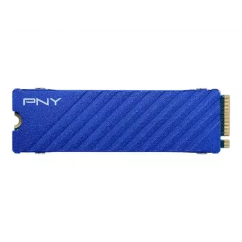 SSD PNY CS2341 1 To M.2 PCIe Gen4 NVMe (M280CS2341PS5-1TB-RB)