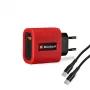 Chargeur rapide Einhell 4514149