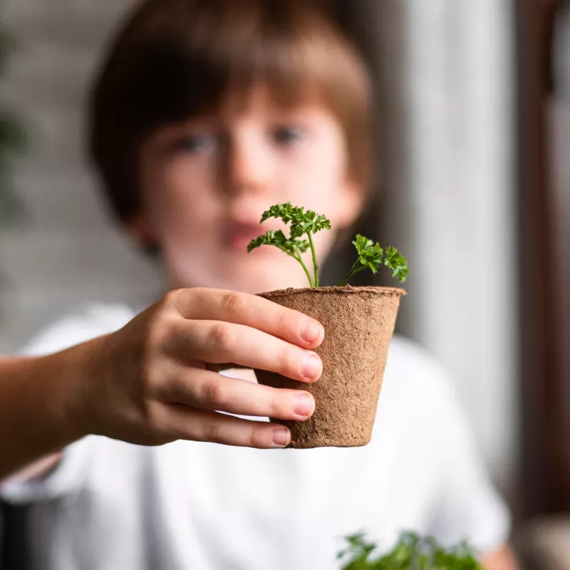Resetea My First Crops – Ensemble de culture de basilic (Erst440)