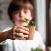Resetea My First Crops – Ensemble de culture de fleurs (Erst441)