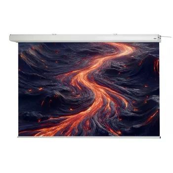 Écran de projection motorisé celexon Expert, 130 inch (330 cm), 230 V