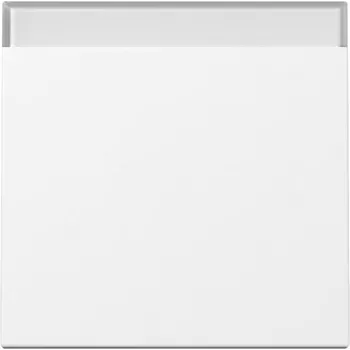 Bascule Gira 329903 avec champ d'inscription System 55, blanc pur