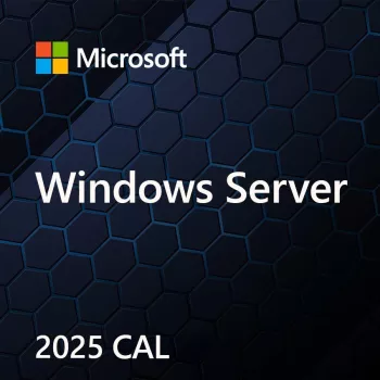 Microsoft Windows Server CAL 2025 Device, OEM, 1 Client (EP2-25232)